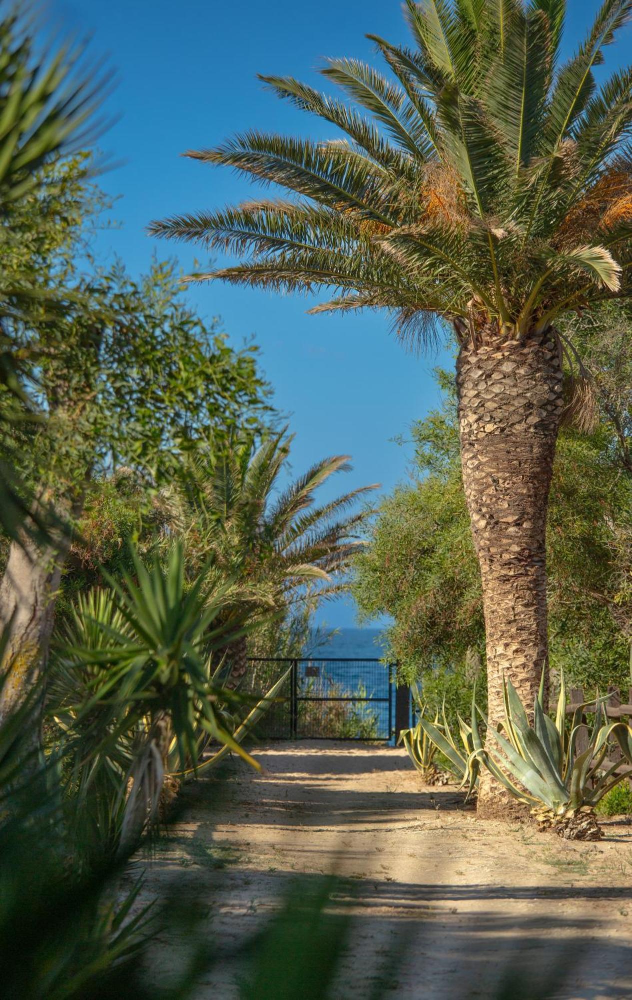 Casara Seis O Casara Siete - Tu Casa A 100M De La Playa De Zahoraゲストハウス エクステリア 写真