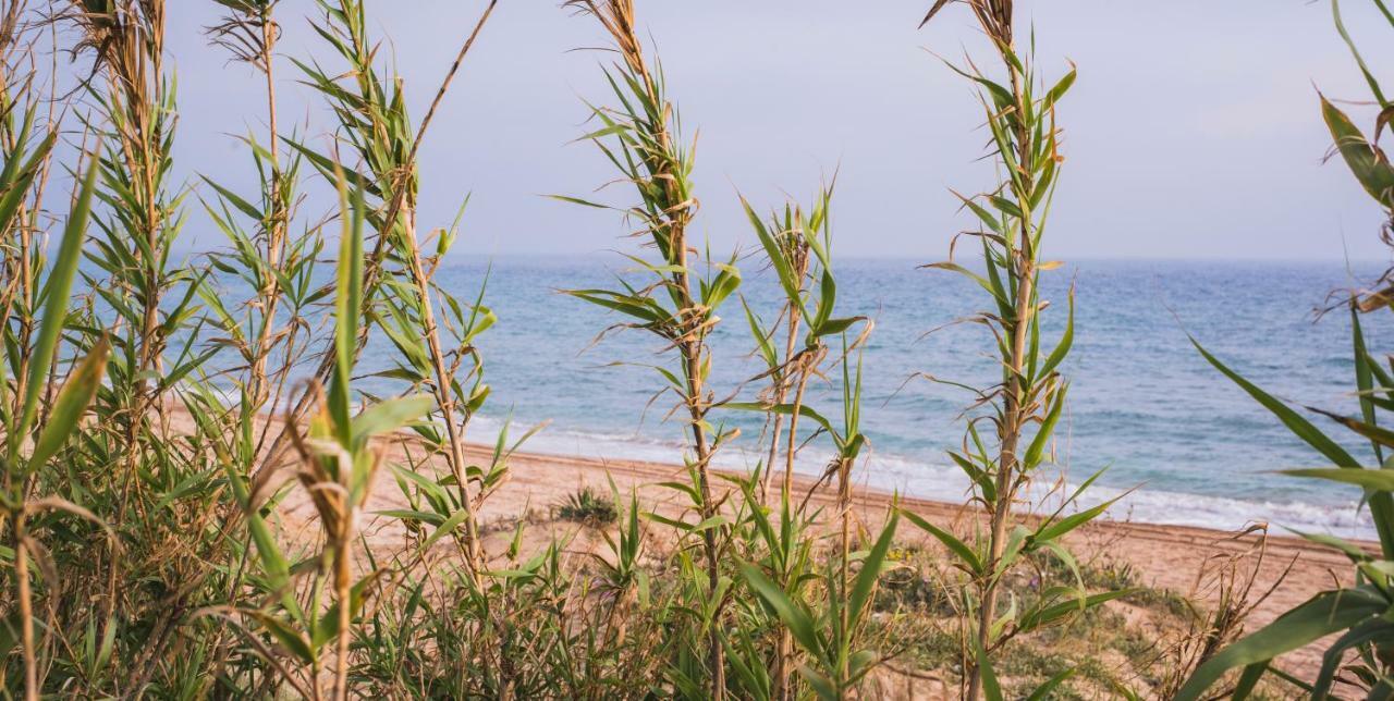 Casara Seis O Casara Siete - Tu Casa A 100M De La Playa De Zahoraゲストハウス エクステリア 写真