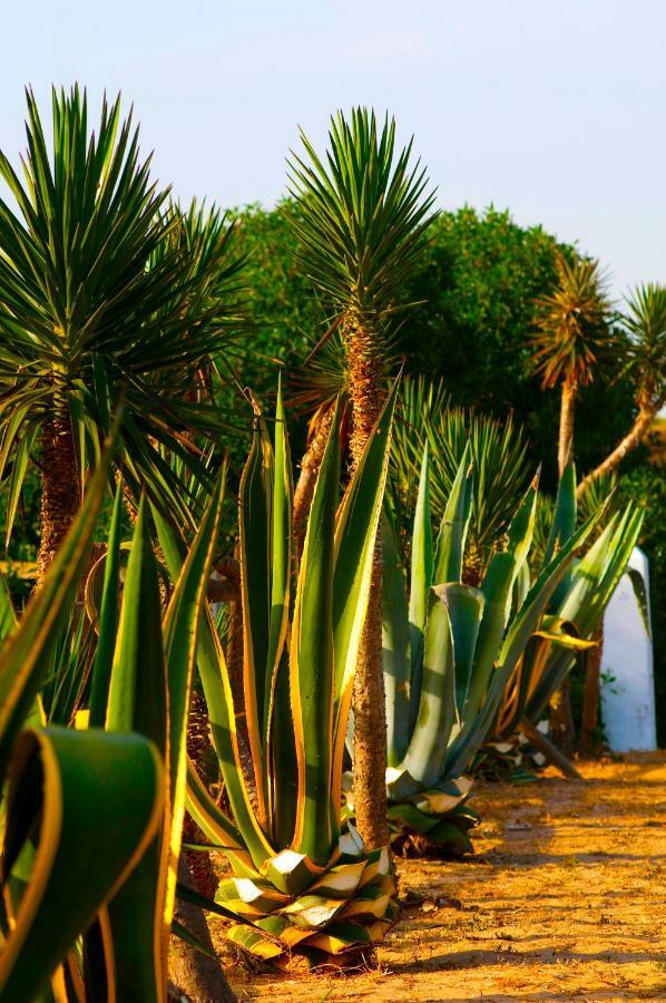 Casara Seis O Casara Siete - Tu Casa A 100M De La Playa De Zahoraゲストハウス エクステリア 写真