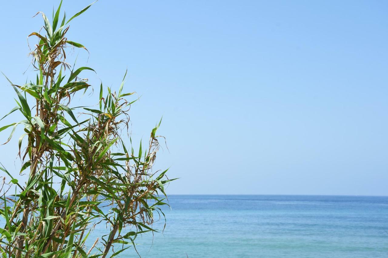 Casara Seis O Casara Siete - Tu Casa A 100M De La Playa De Zahoraゲストハウス エクステリア 写真