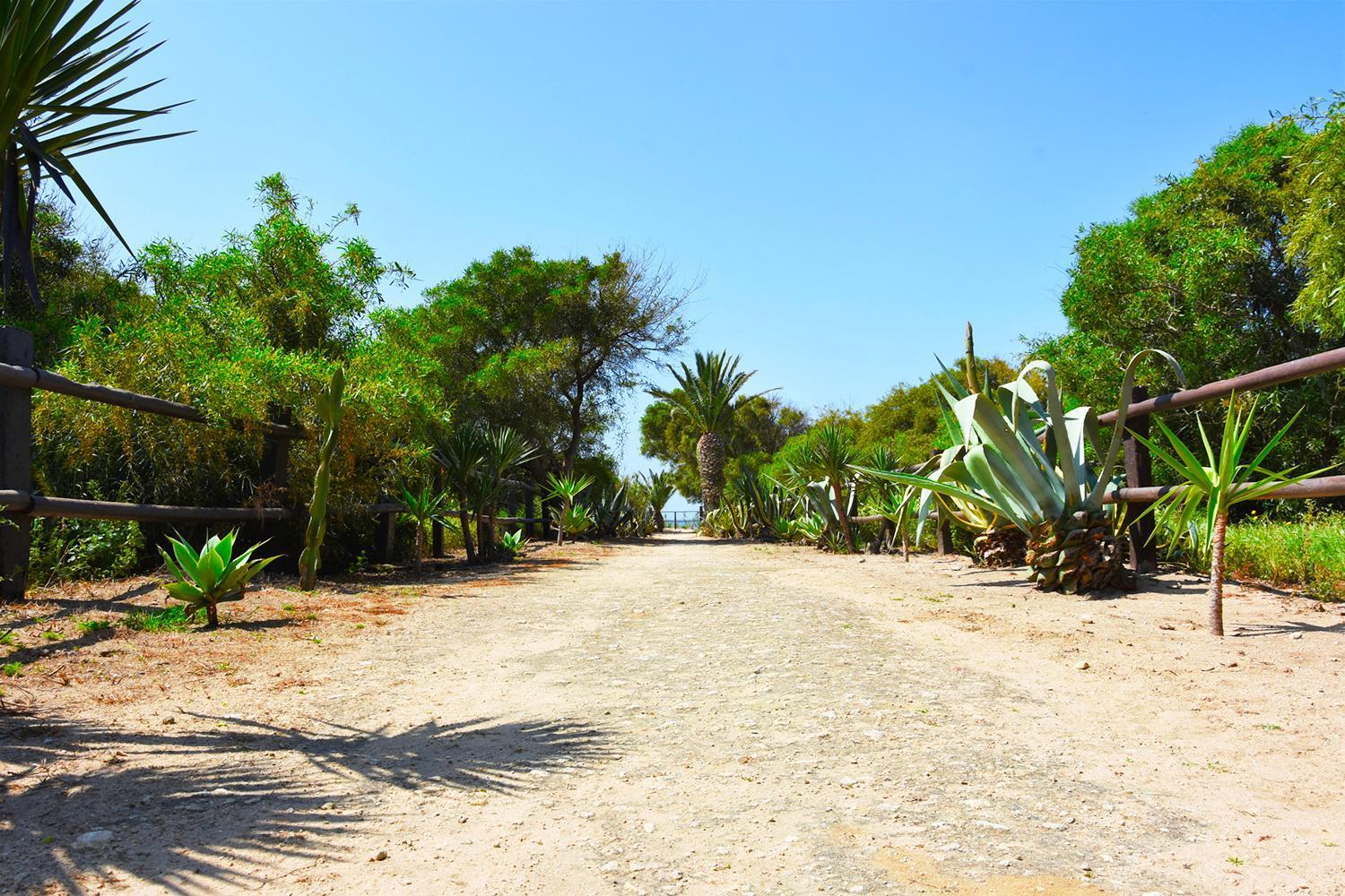 Casara Seis O Casara Siete - Tu Casa A 100M De La Playa De Zahoraゲストハウス エクステリア 写真