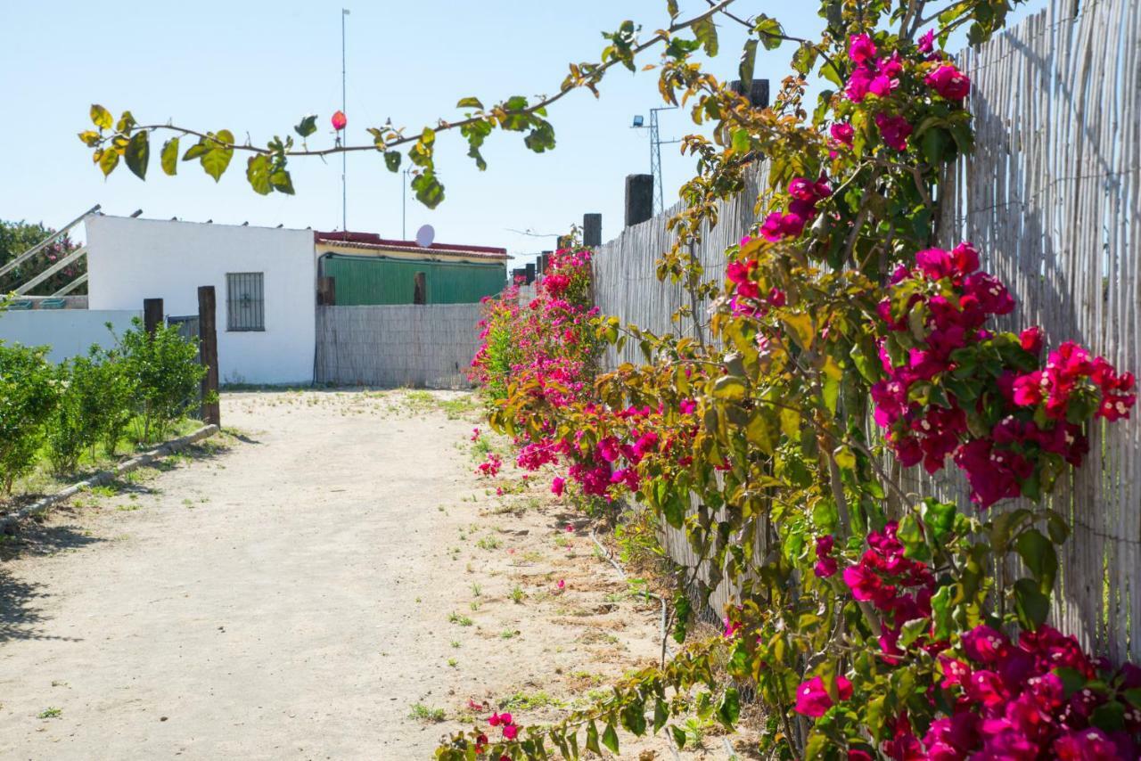 Casara Seis O Casara Siete - Tu Casa A 100M De La Playa De Zahoraゲストハウス エクステリア 写真